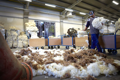 Das Mischen der Wolle. Foto: TISCA Teppiche